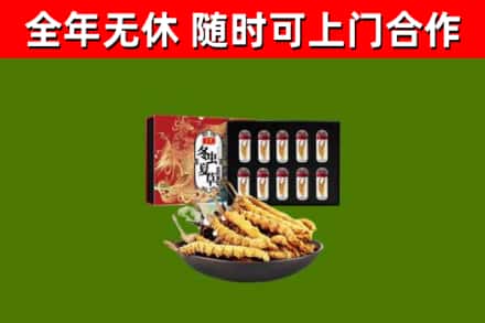 塔城回收冬虫夏草价格