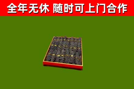 塔城回收海参